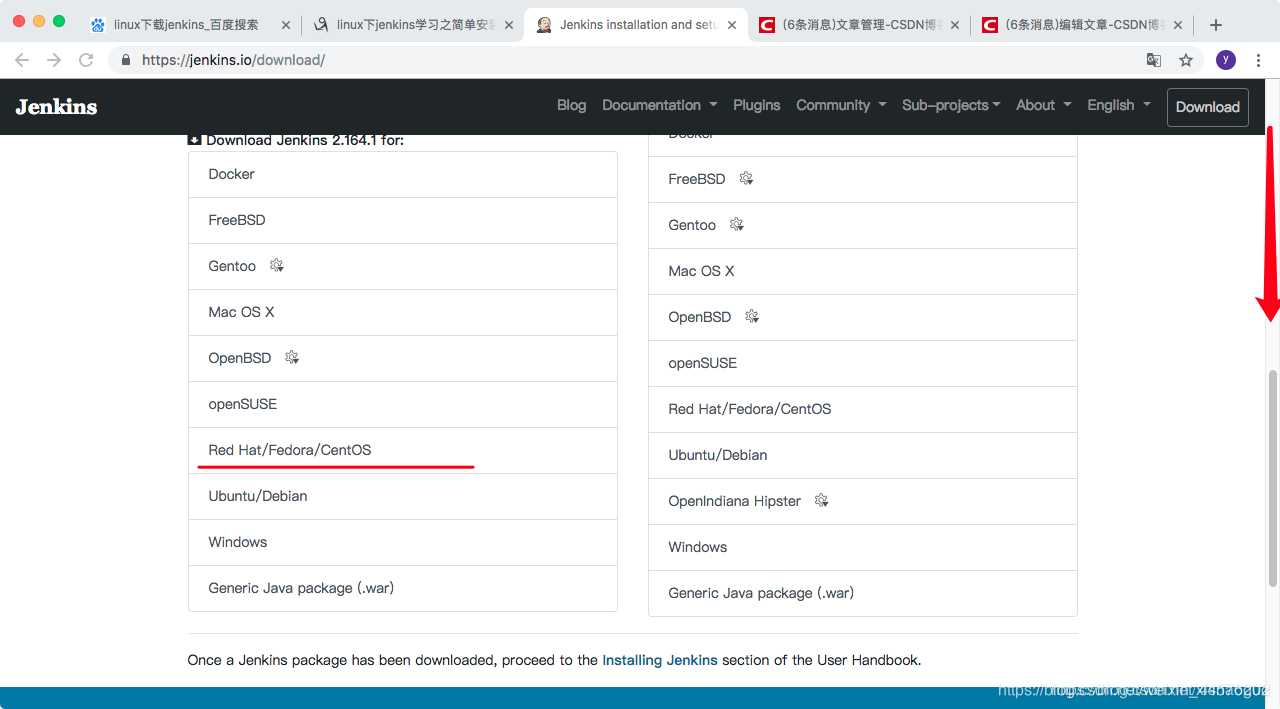centos jenkins rpm下载 jenkins安装linux_JAVA_03