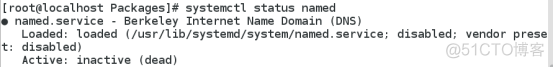 dns搭配nginx dns 搭建_dns搭配nginx_08