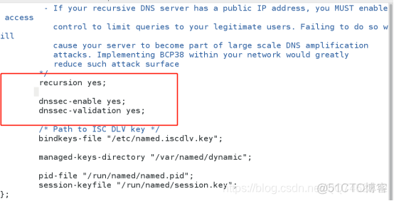 dns搭配nginx dns 搭建_配置文件_36