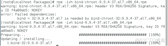 dns搭配nginx dns 搭建_配置文件_43