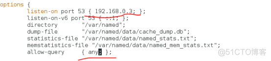 dns搭配nginx dns 搭建_配置文件_45