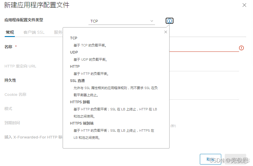 esxi 设置vt esxi 设置均衡模式_SSL_14