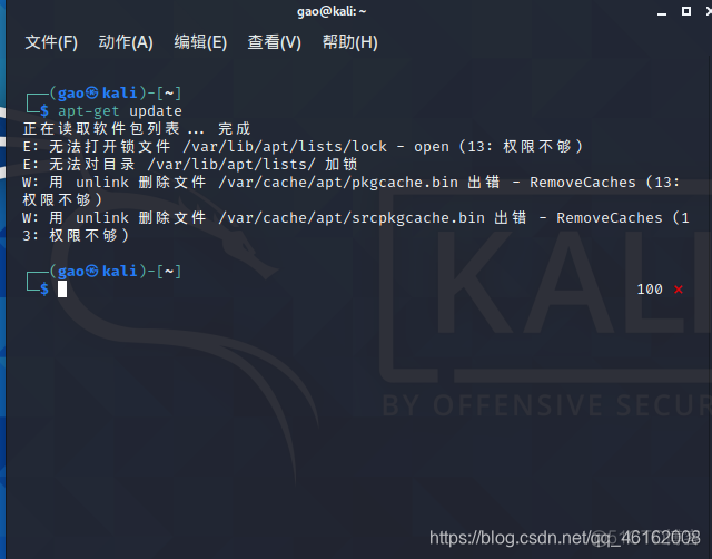 Kali Linux Docker Image安装教程 kali linux安装教程2020.4_kali linux_38