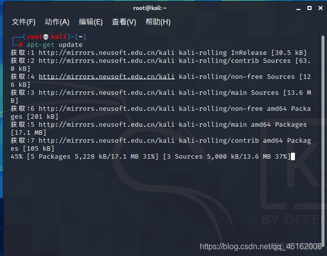 Kali Linux Docker Image安装教程 kali linux安装教程2020.4_当前用户_42