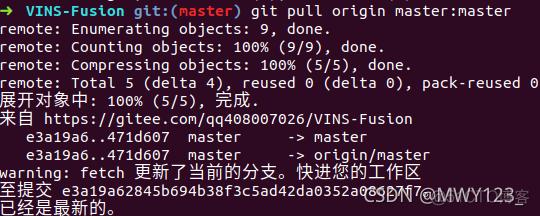 vscode的终端能用sudo吗 vscode终端使用_git_20