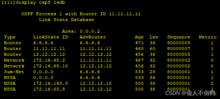 OSPF实战 ospf实验_OSPF_07