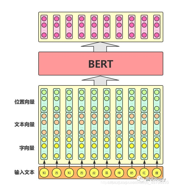 java使用bert训练模型 bert模型的输出_算法