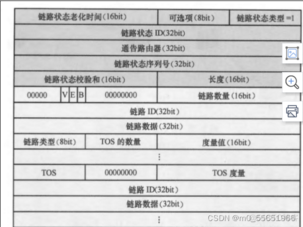 ospf lsa 比较字段 ospf常用的lsa_自动生成_02