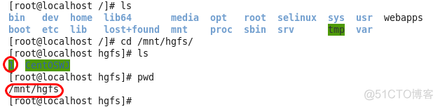 kvm 启用共享内存 选项 没有 kvm 共享文件夹_centos_10