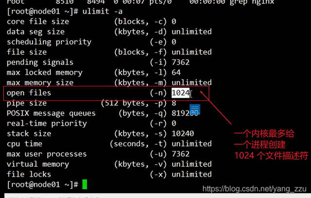 nginx 504配置nginx内存 nginx内存要求_nginx_12