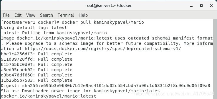 docker 纯系统 docker里面有没有系统_nginx_17