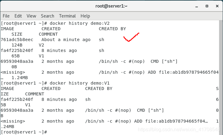 docker 纯系统 docker里面有没有系统_nginx_27