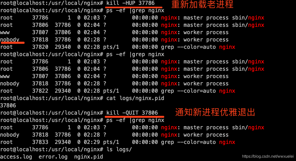 Nginx热更新流程 nginx配置热更新_热部署_03