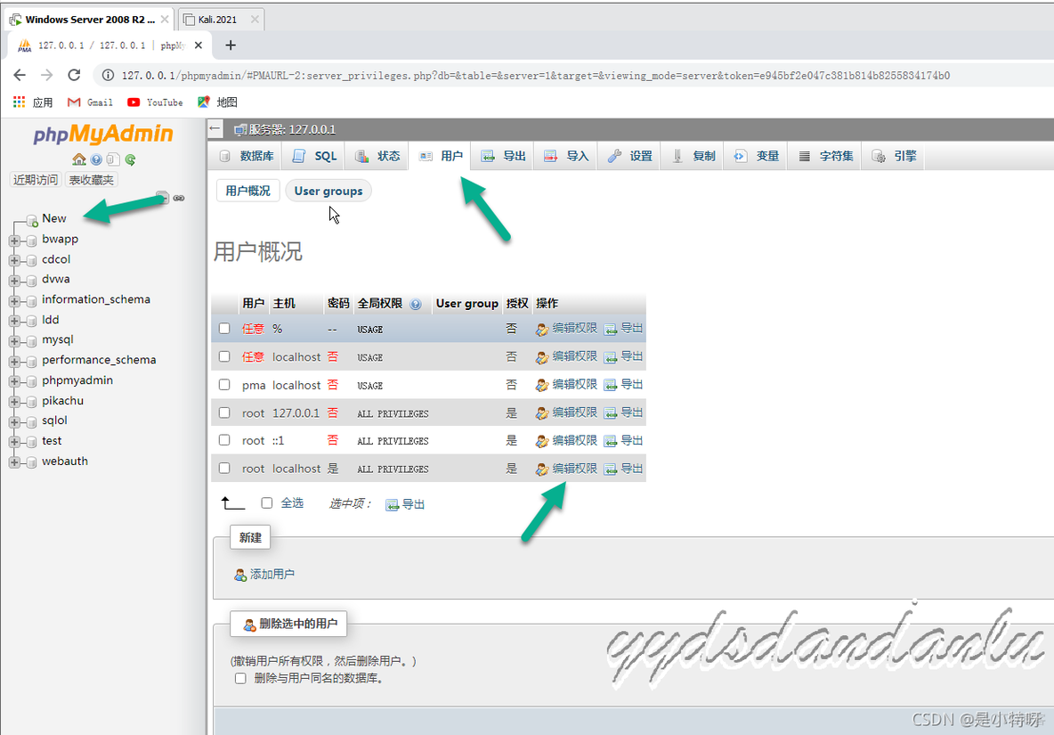 宝塔 兼容apache和nginx 宝塔和xampp_perl_15