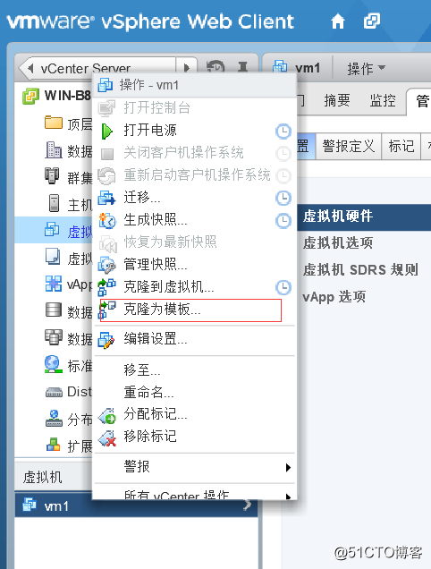 Vsphere 虚拟出GPU vsphere虚拟机部署有哪些模式?_共享存储_18