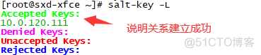 离线SaltStack 升级 saltstack部署架构_配置文件_04