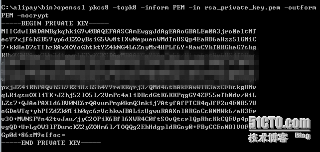 alipayCertPublicKey_RSA2 哪个才是公钥字符串 支付宝公钥(rsa2)_配置文件_05