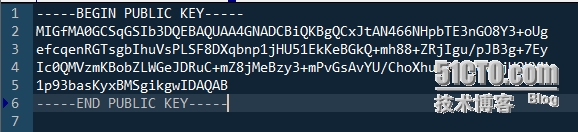alipayCertPublicKey_RSA2 哪个才是公钥字符串 支付宝公钥(rsa2)_命令行_07