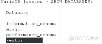 mariadb按天自动分区 mariadb分布式数据库_mysql_14