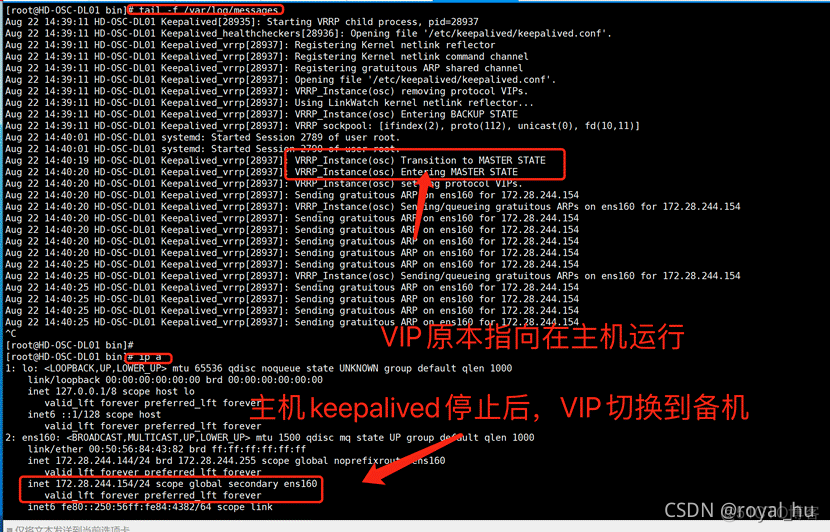 keepalived虚拟ip如何绑定网卡 keepalive虚拟ip如何申请_IP_09