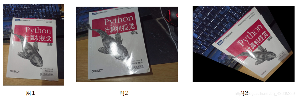 python将弯曲图像拉直 python图片扭曲_图像处理_06