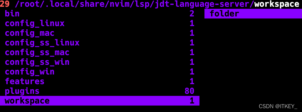 vim java 华宁 vim java ide_neovim_02