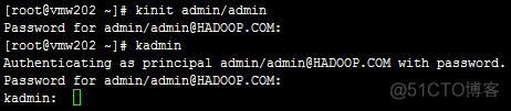 kerberos 镜像 kerberos步骤_认证_02