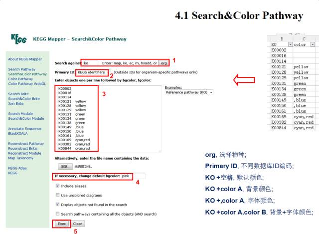 代谢组学分析流程R语言 代谢组学kegg_数据_11