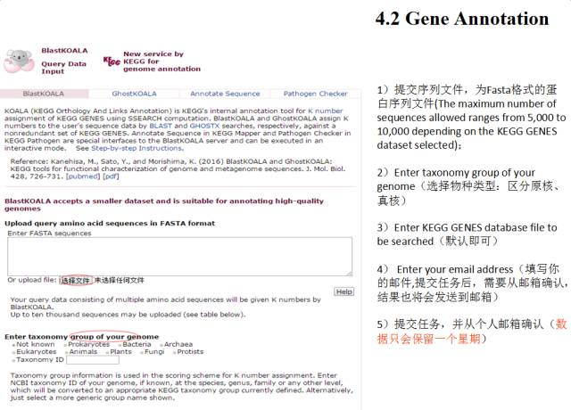 代谢组学分析流程R语言 代谢组学kegg_系统功能_13