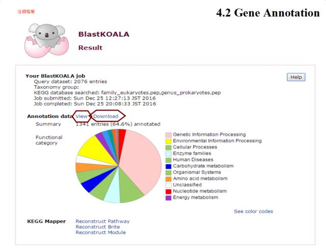 代谢组学分析流程R语言 代谢组学kegg_数据_14