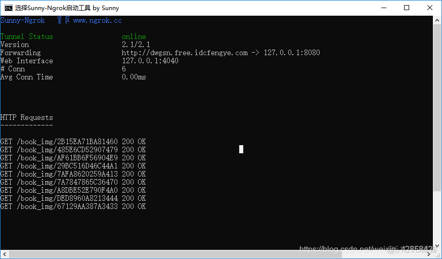 bgp 穿透 gnb内网穿透_服务器_10