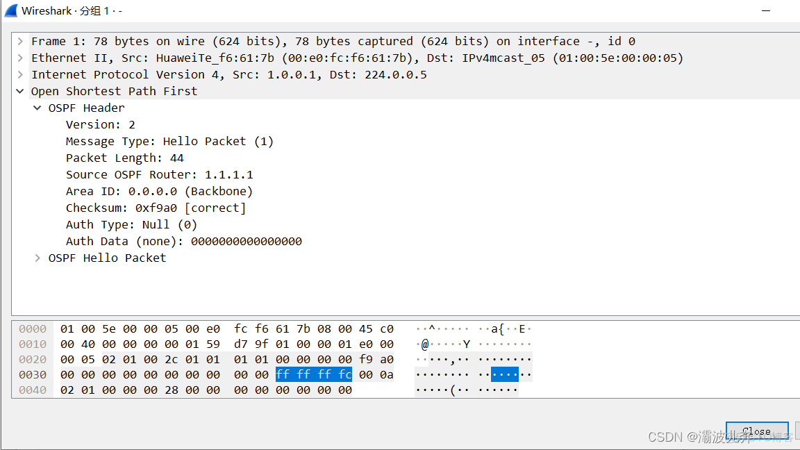 如何发送ospf包 ospf数据包_OSPF_02