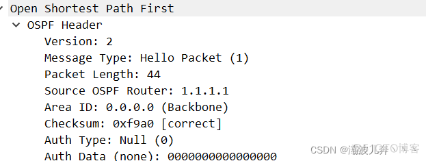 如何发送ospf包 ospf数据包_网络_03