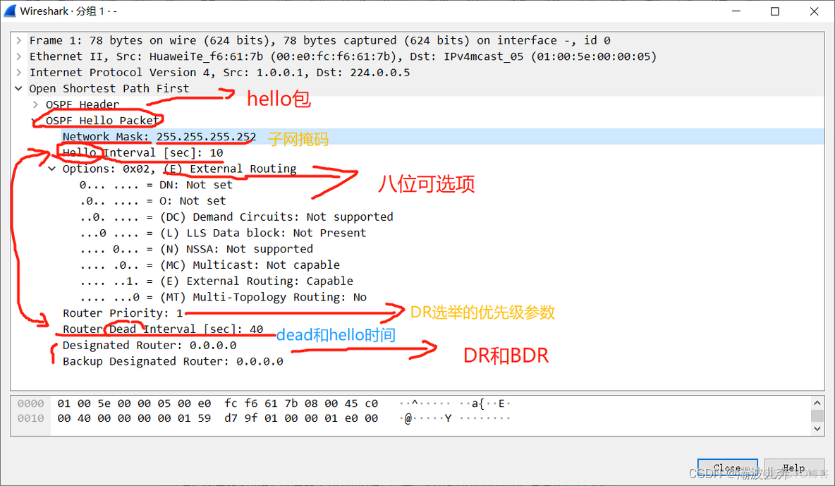 如何发送ospf包 ospf数据包_网络协议_04