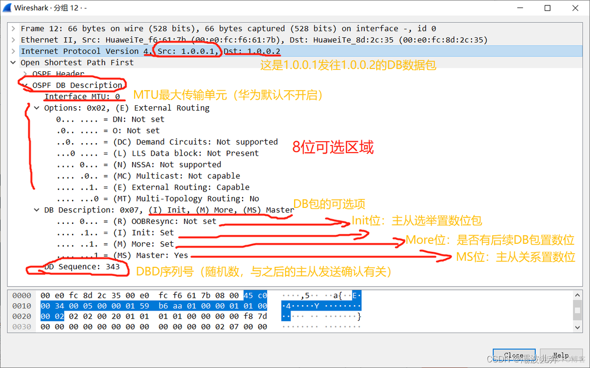 如何发送ospf包 ospf数据包_网络_06