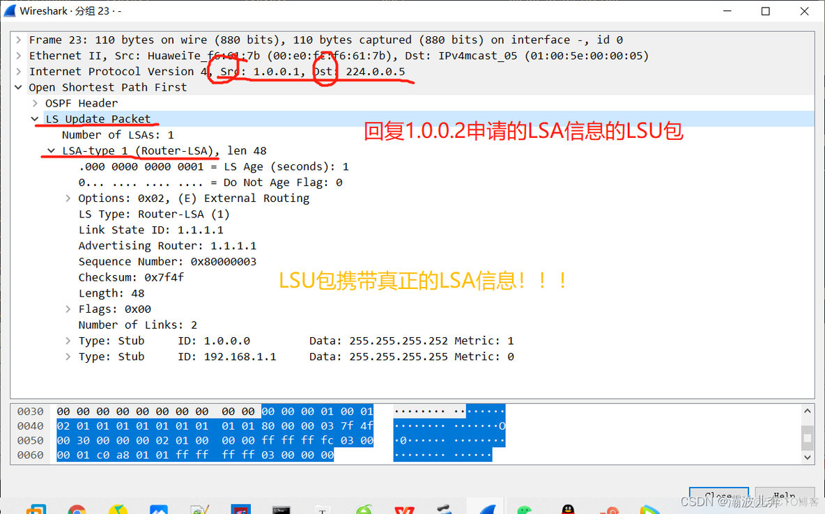 如何发送ospf包 ospf数据包_网络_14