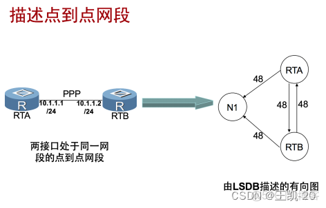 ospf宣告接口还是网段 ospf在接口宣告_网络协议_07