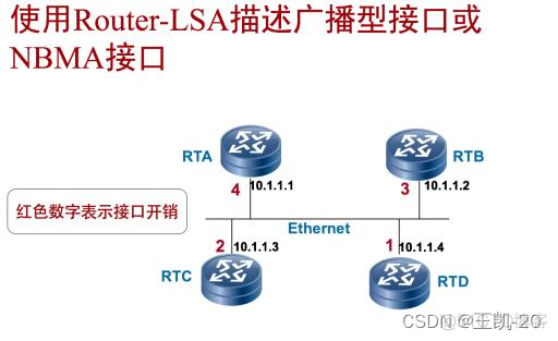 ospf宣告接口还是网段 ospf在接口宣告_R3_08