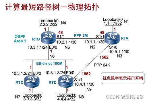 ospf宣告接口还是网段 ospf在接口宣告_网络协议_11