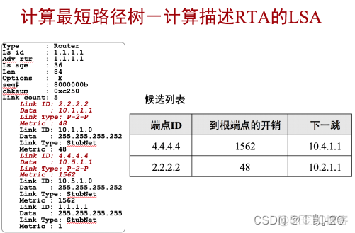 ospf宣告接口还是网段 ospf在接口宣告_R3_14