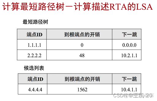 ospf宣告接口还是网段 ospf在接口宣告_网络协议_15