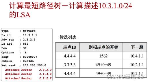 ospf宣告接口还是网段 ospf在接口宣告_网络_20