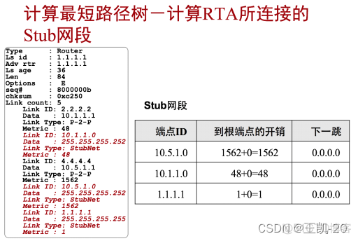 ospf宣告接口还是网段 ospf在接口宣告_OSPF_28