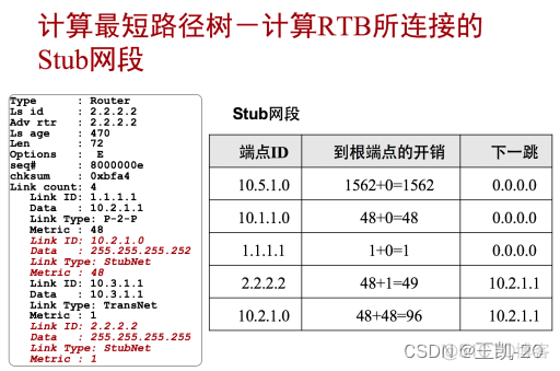 ospf宣告接口还是网段 ospf在接口宣告_网络协议_30