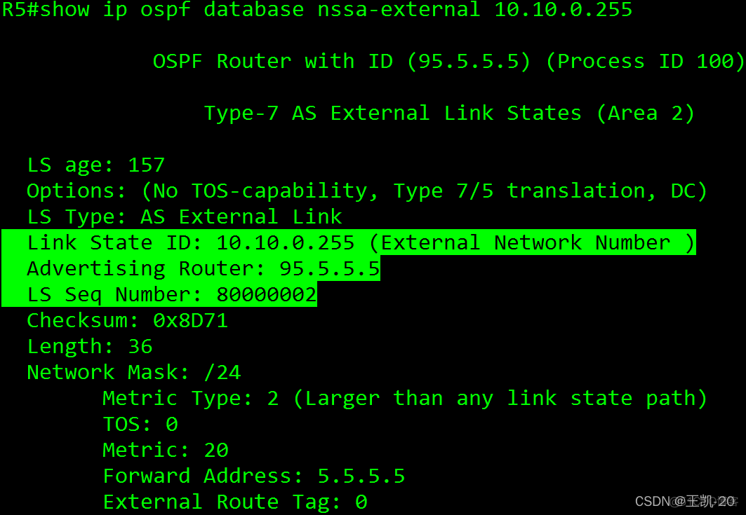 ospf宣告接口还是网段 ospf在接口宣告_网络协议_38