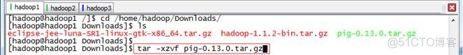 hadoop 结合snappy hadoop的pig_Pig_03