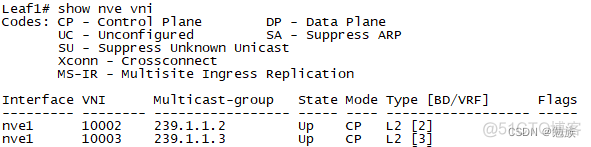 vxlan配置 bd 本地意义 vpp vxlan 配置_网络_05