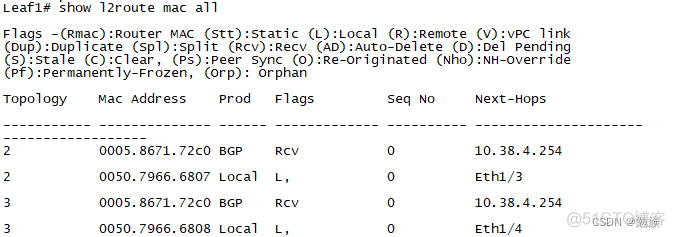 vxlan配置 bd 本地意义 vpp vxlan 配置_cisco_06