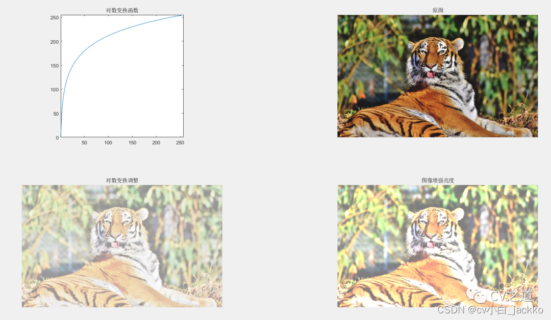 基于matlab GSA灰度图像增强 图像灰度变换matlab,基于matlab GSA灰度图像增强 图像灰度变换matlab_基于matlab GSA灰度图像增强_04,第4张