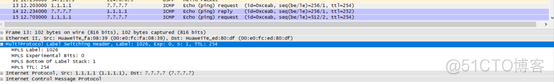 MPLS穿域方案 跨域mpls三种_抓包_51